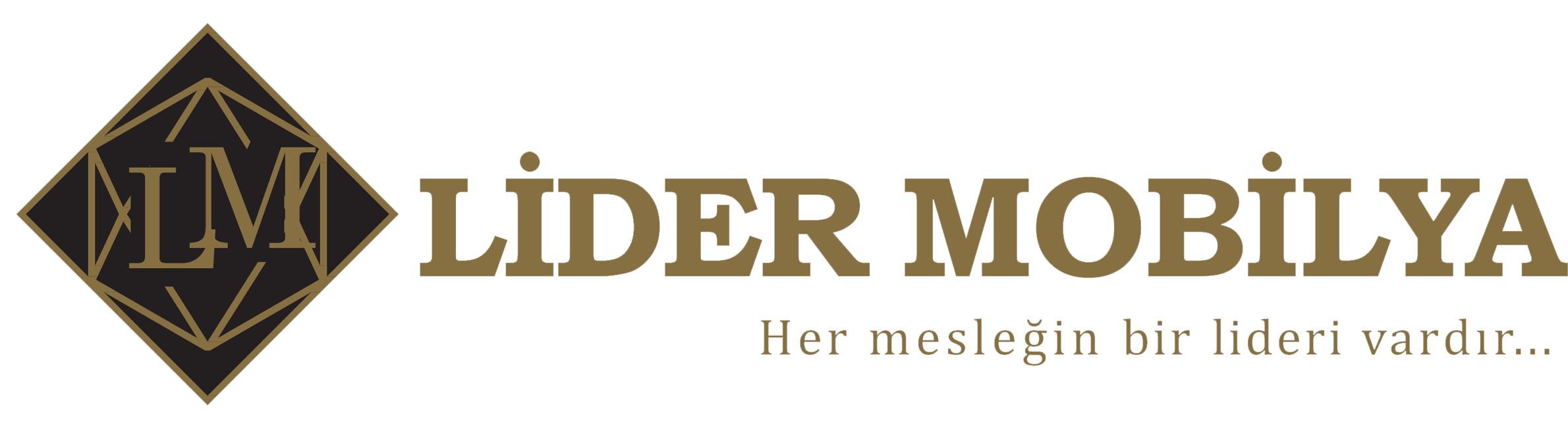 Her Mesleğin Bir Lideri Vardır. logo